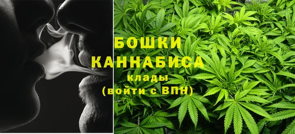 PSILOCYBIN Алзамай