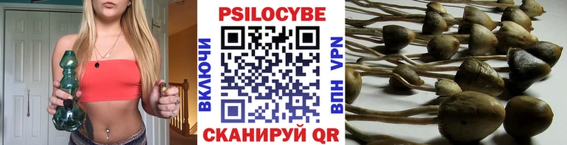 Галлюциногенные грибы Magic Shrooms  mega вход  Духовщина  где купить наркоту 